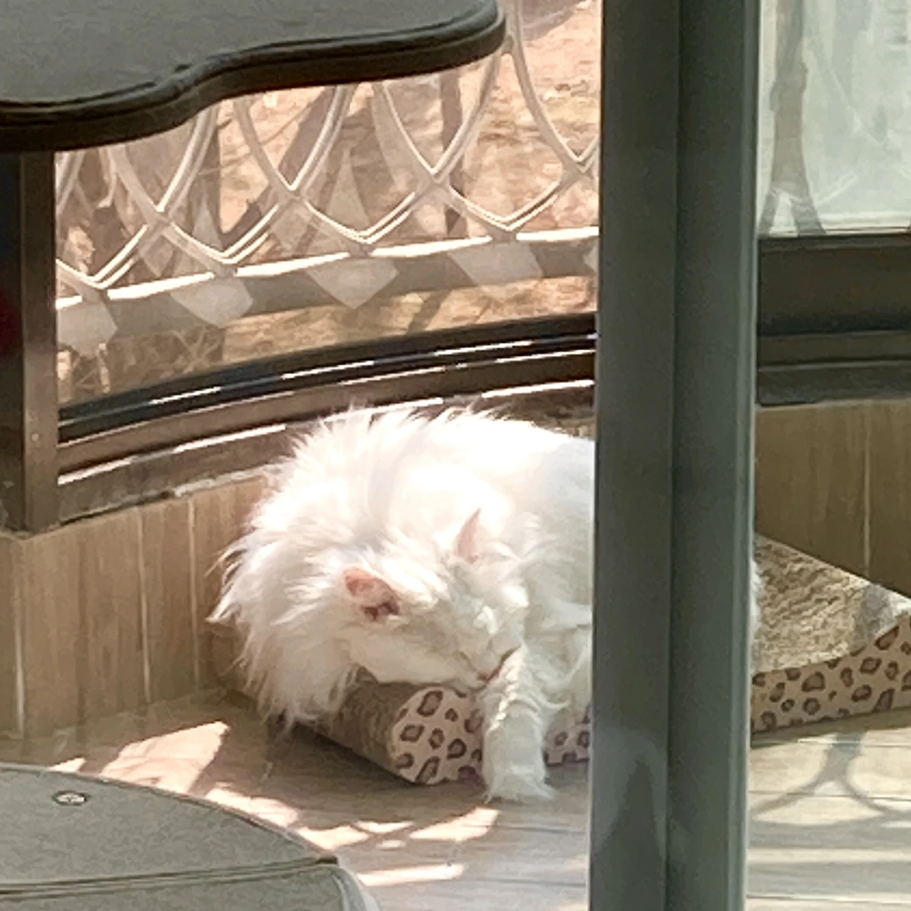 img.png?credential=yqXZFxpELC7KVnFOS48ylbz2pIh7yKj8&expires=1764514799&allow_ip=&allow_referer=&signature=r12AwKgu9jqIOx1hk2Wc7F9rsas%3D