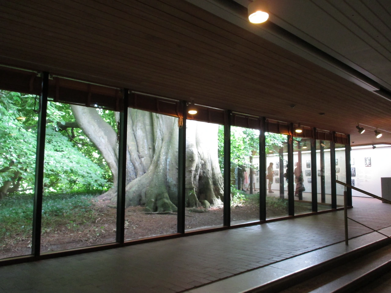 루이지애나 미술관.JPG