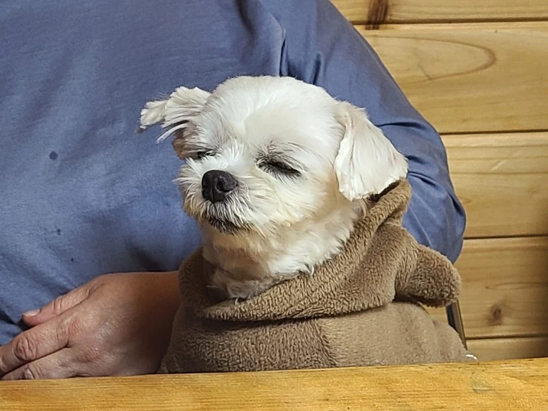 KakaoTalk_20210310_155902399.jpg?type=w773