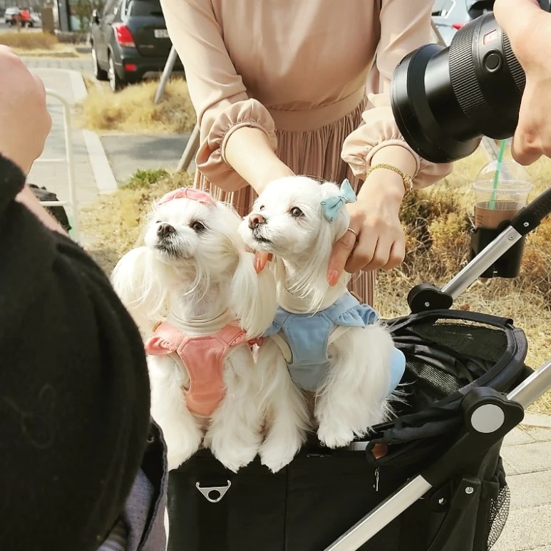 KakaoTalk_20210310_173934221.jpg?type=w773