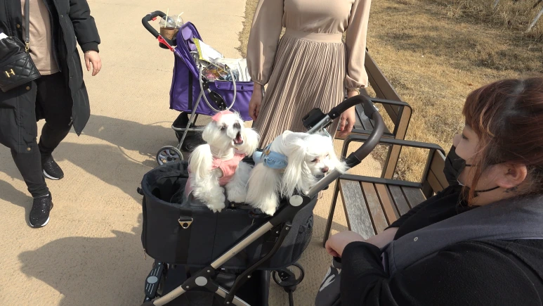 C0012.00_00_34_43.Still013.png?type=w773