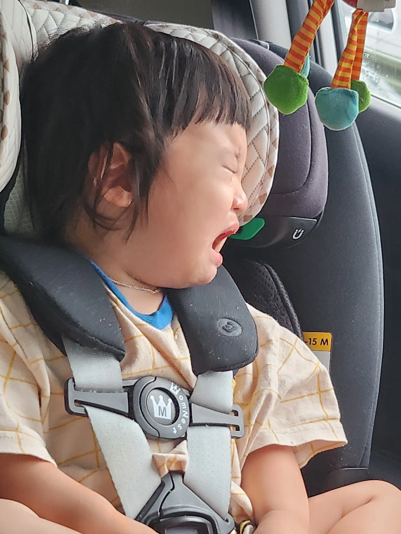 KakaoTalk_Photo_2024-07-27-07-53-59 002.jpeg