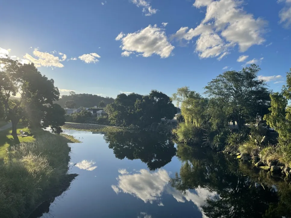 IMG_0676.jpg?type=w966