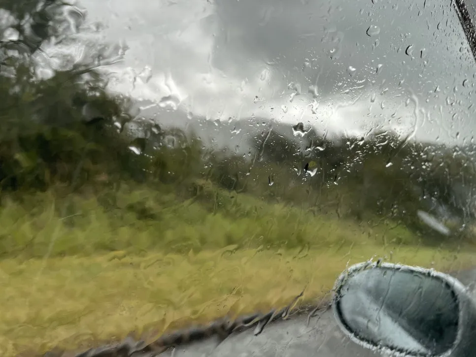 IMG_2150.jpg?type=w966