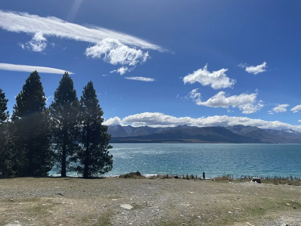 IMG_4960_2.jpg?type=w966