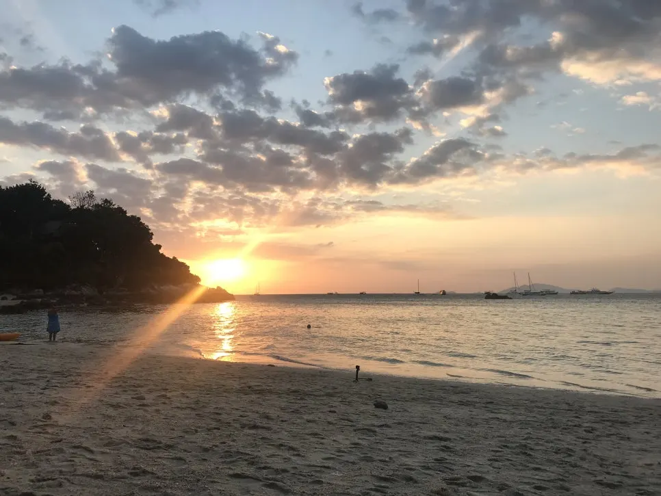 IMG_8663.jpg?type=w966