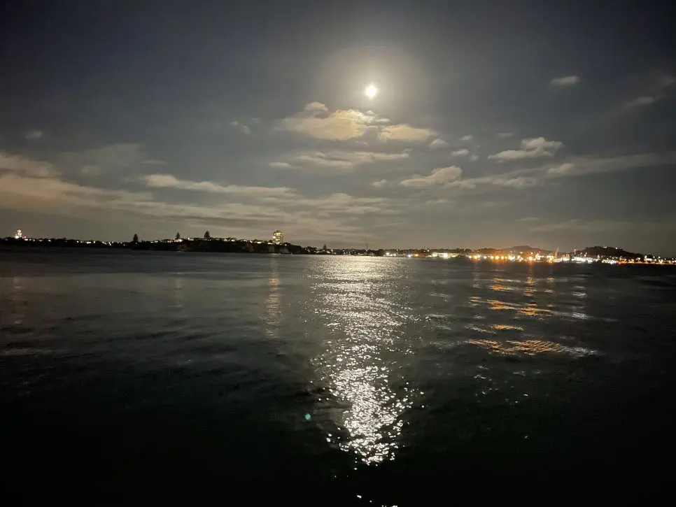 IMG_1223.jpg?type=w966