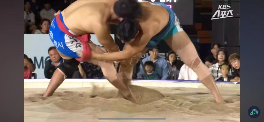 IMG%EF%BC%BF3695.jpg?type=w966