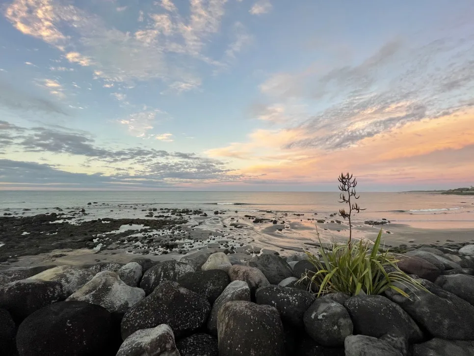 IMG_1831.jpg?type=w966