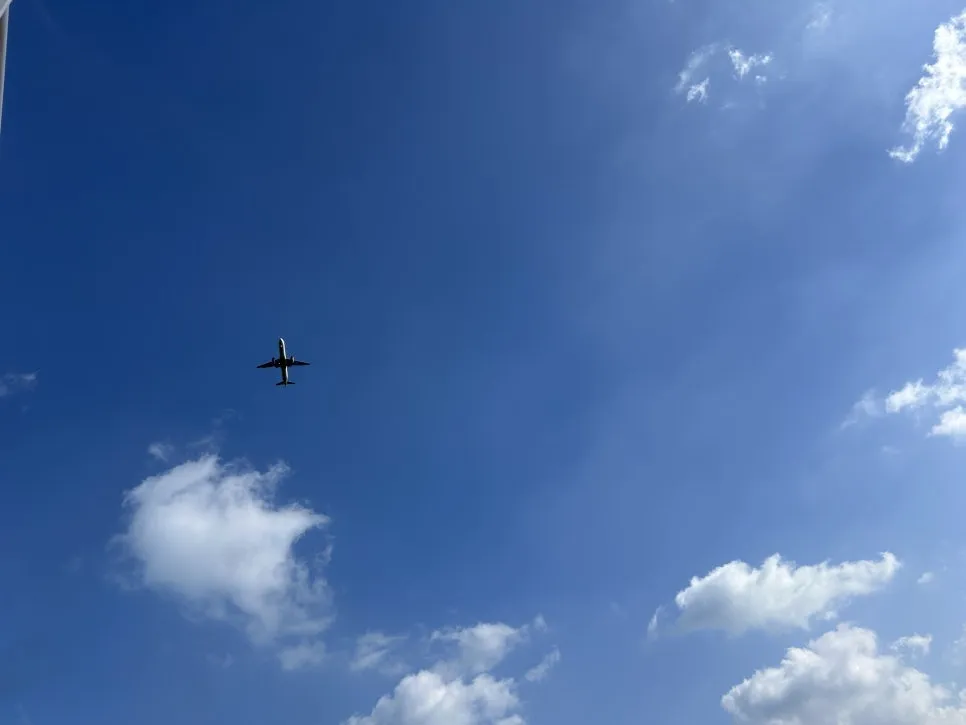 IMG_0536.jpg?type=w966