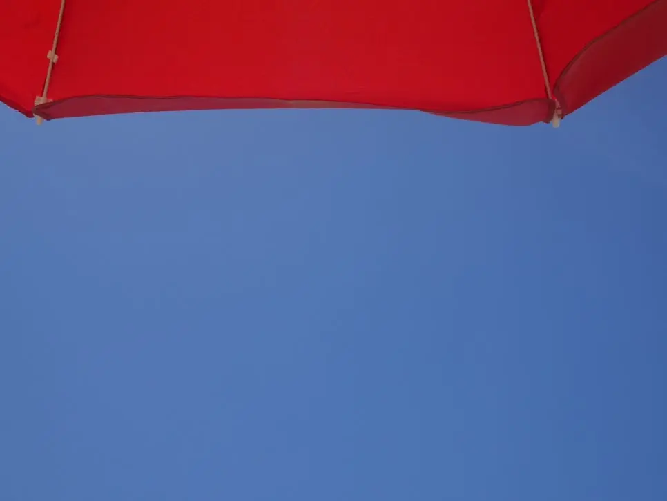 IMG_2977.JPG?type=w966