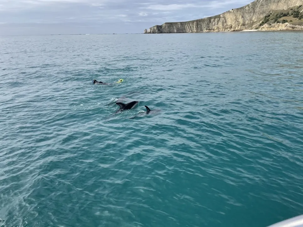 IMG_4545.jpg?type=w966