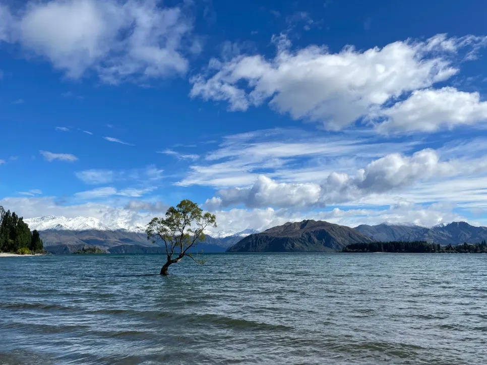 SE-30287204-5212-42bb-b1b4-c0f1024b207c.jpg?type=w966