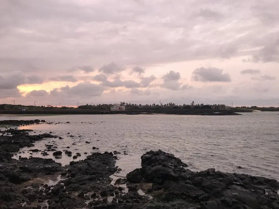 IMG_3066.jpg?type=w966