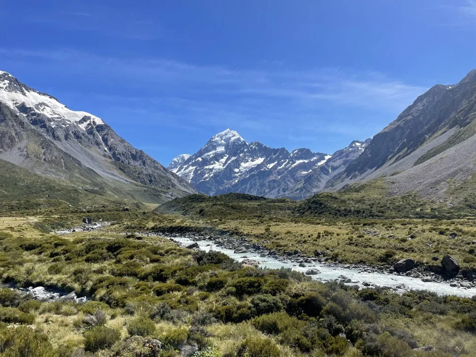 IMG_2523.jpg?type=w966