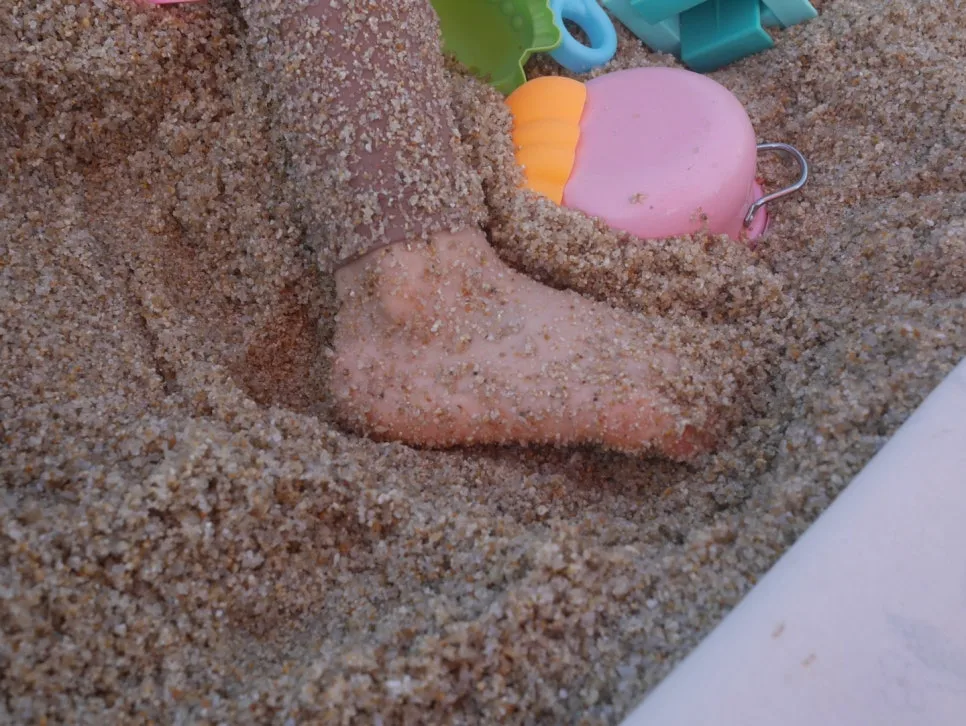 IMG_2979.JPG?type=w966