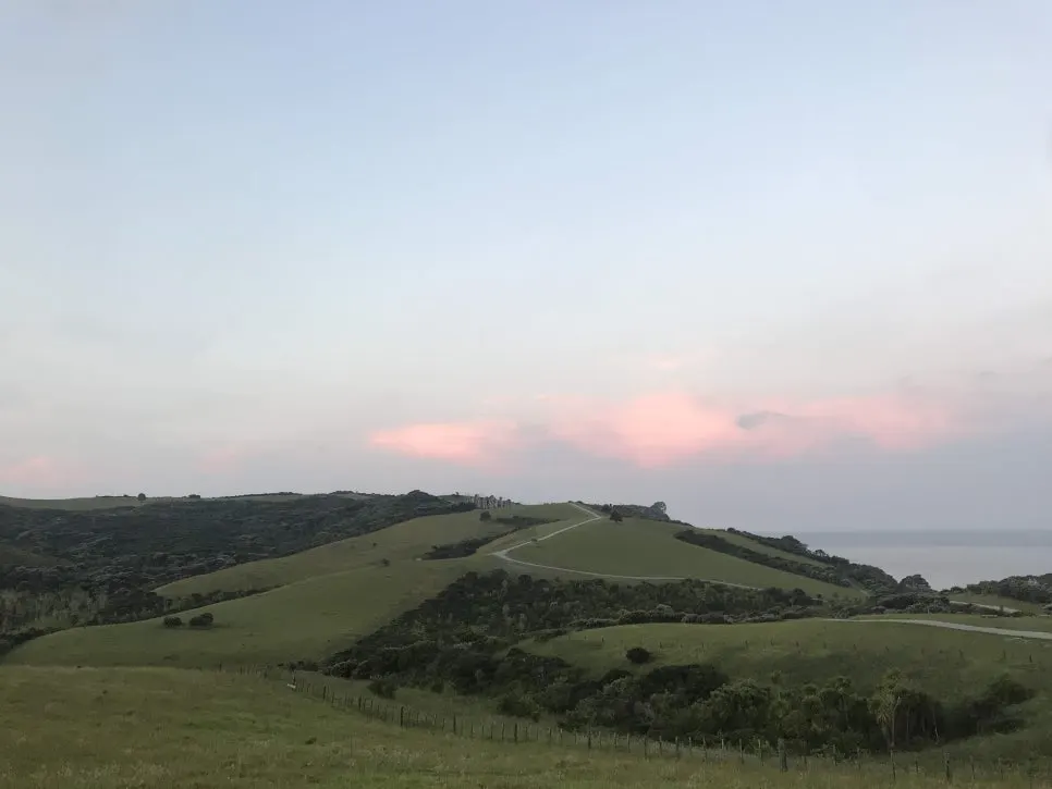 IMG_6725.JPG?type=w966