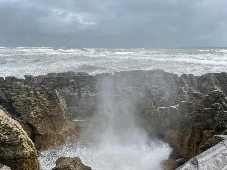 SE-58003082-7610-470d-b3f6-2ad9a946f56f.jpg?type=w966