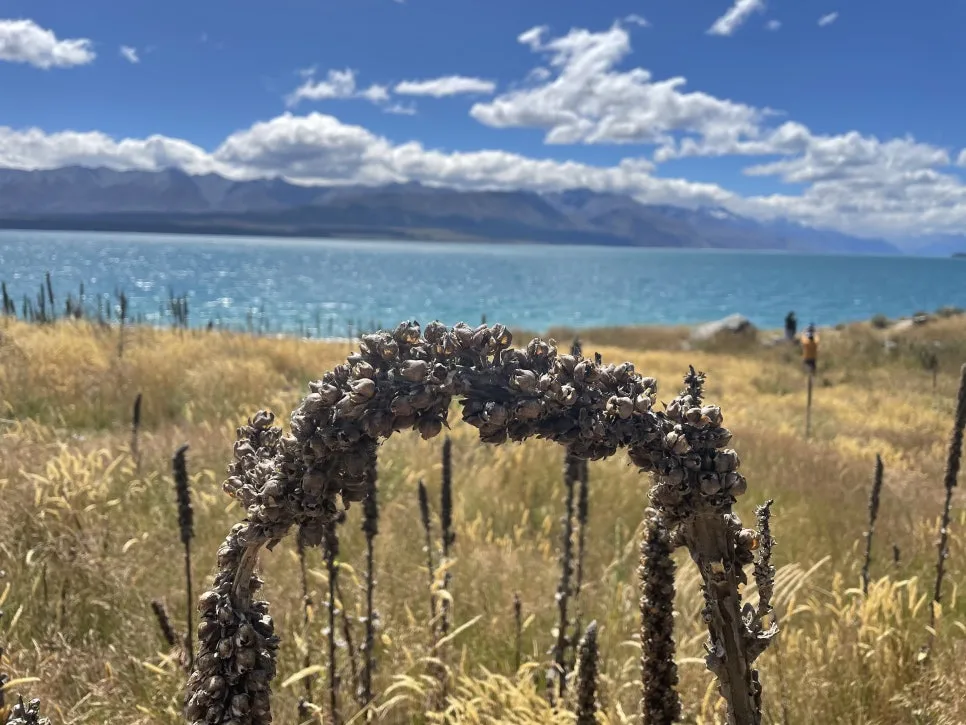 IMG_4925.jpg?type=w966