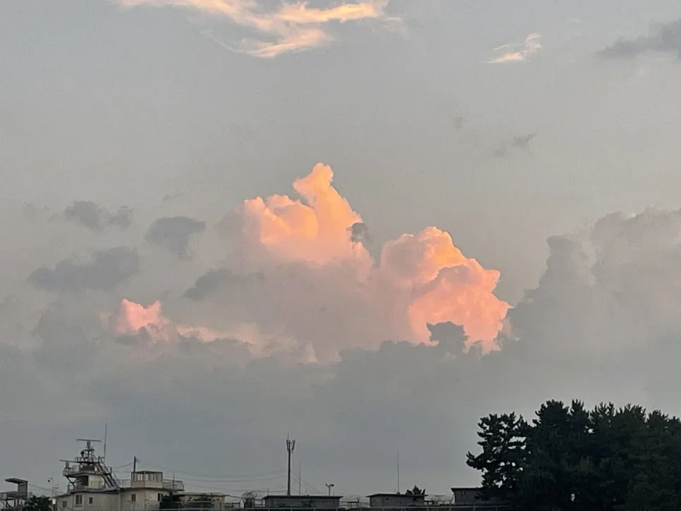 IMG_2857.jpg?type=w966