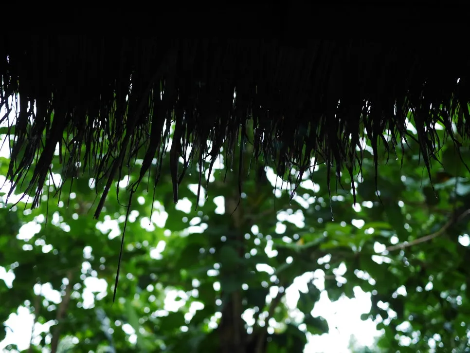 IMG_2464.JPG?type=w966