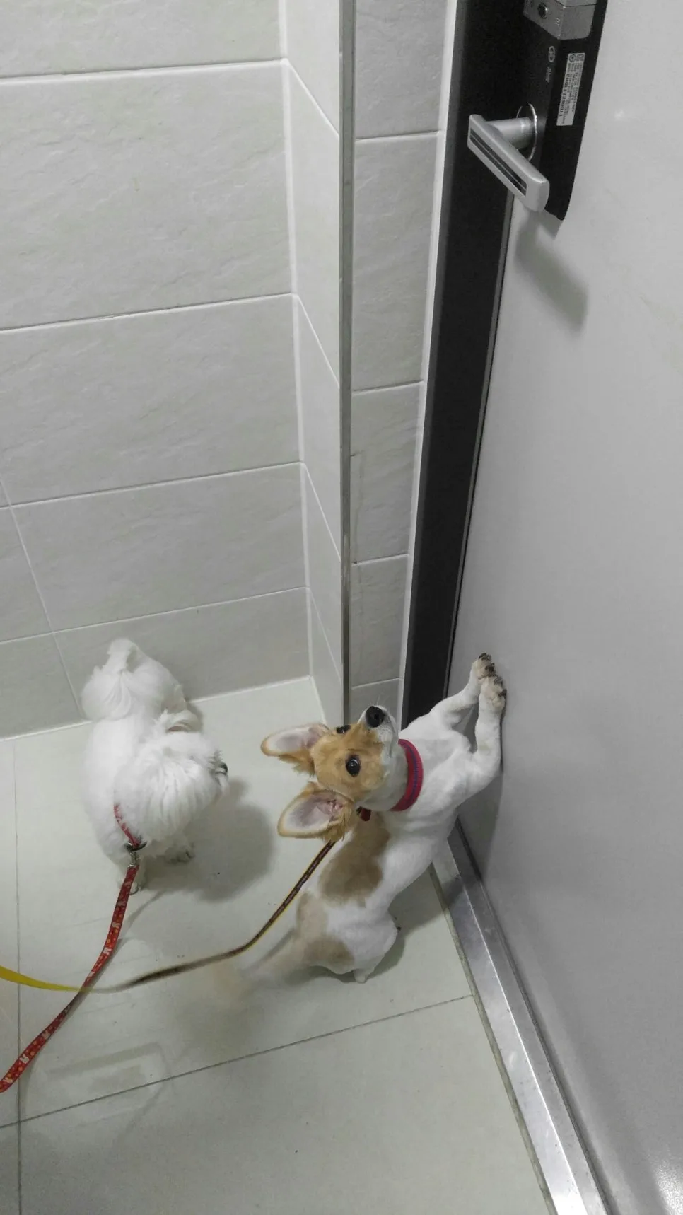 %ED%98%84%EA%B4%80.jpg?type=w966