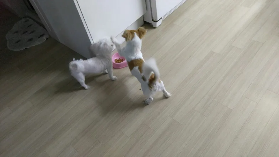 %EC%9E%A5%EB%82%9C.jpg?type=w966