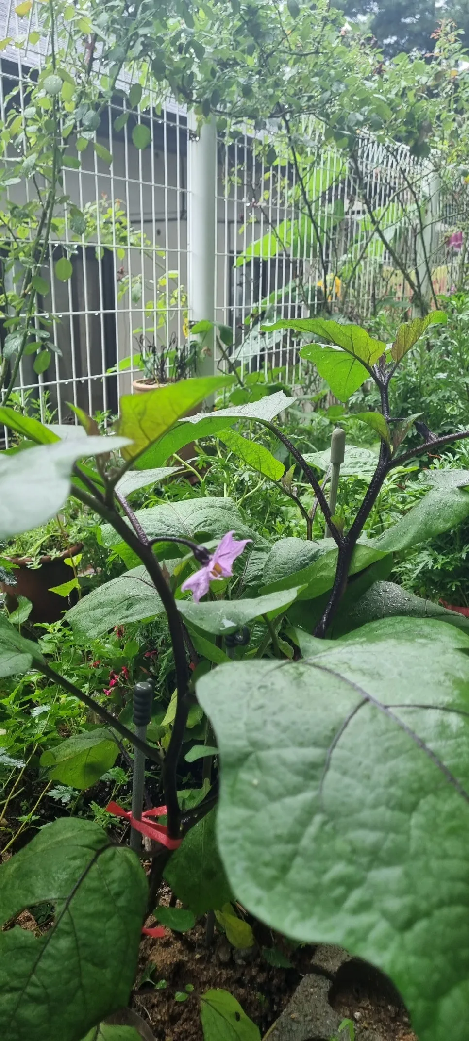 KakaoTalk_20240708_125442606_02.jpg?type=w966