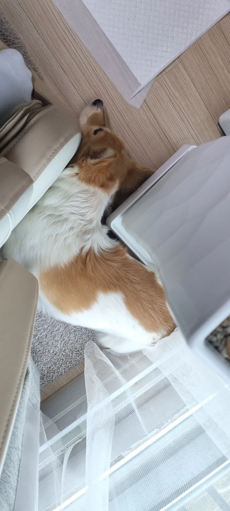 %E3%84%B1%EC%9E%90.jpg?type=w966