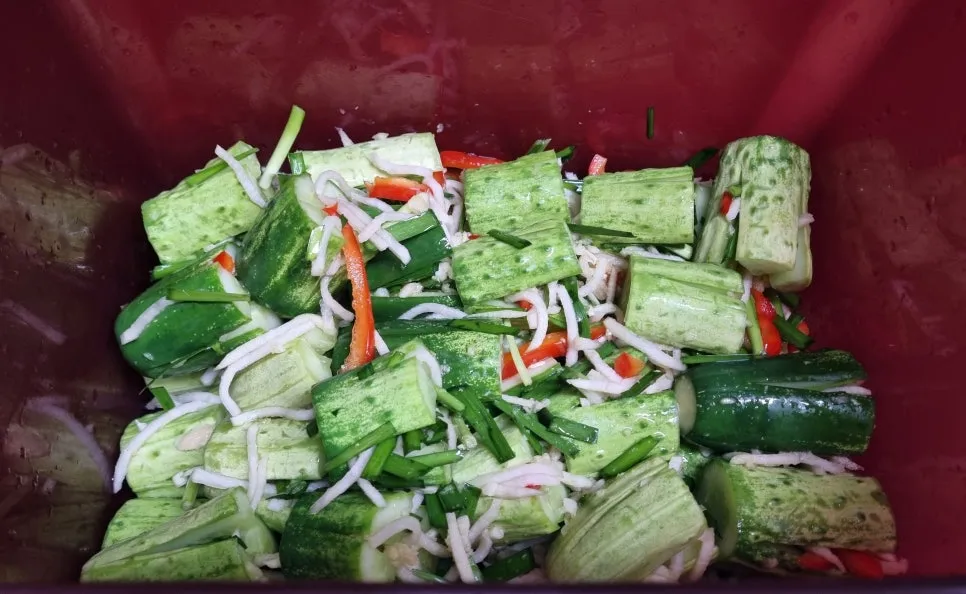 KakaoTalk_20240724_213259076_15.jpg?type=w966