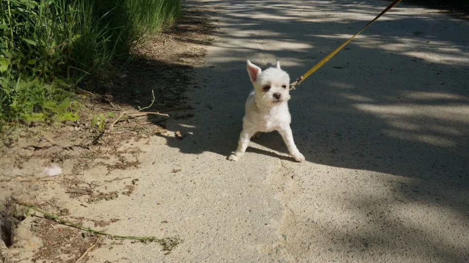 KakaoTalk_20240621_095018942.jpg?type=w966