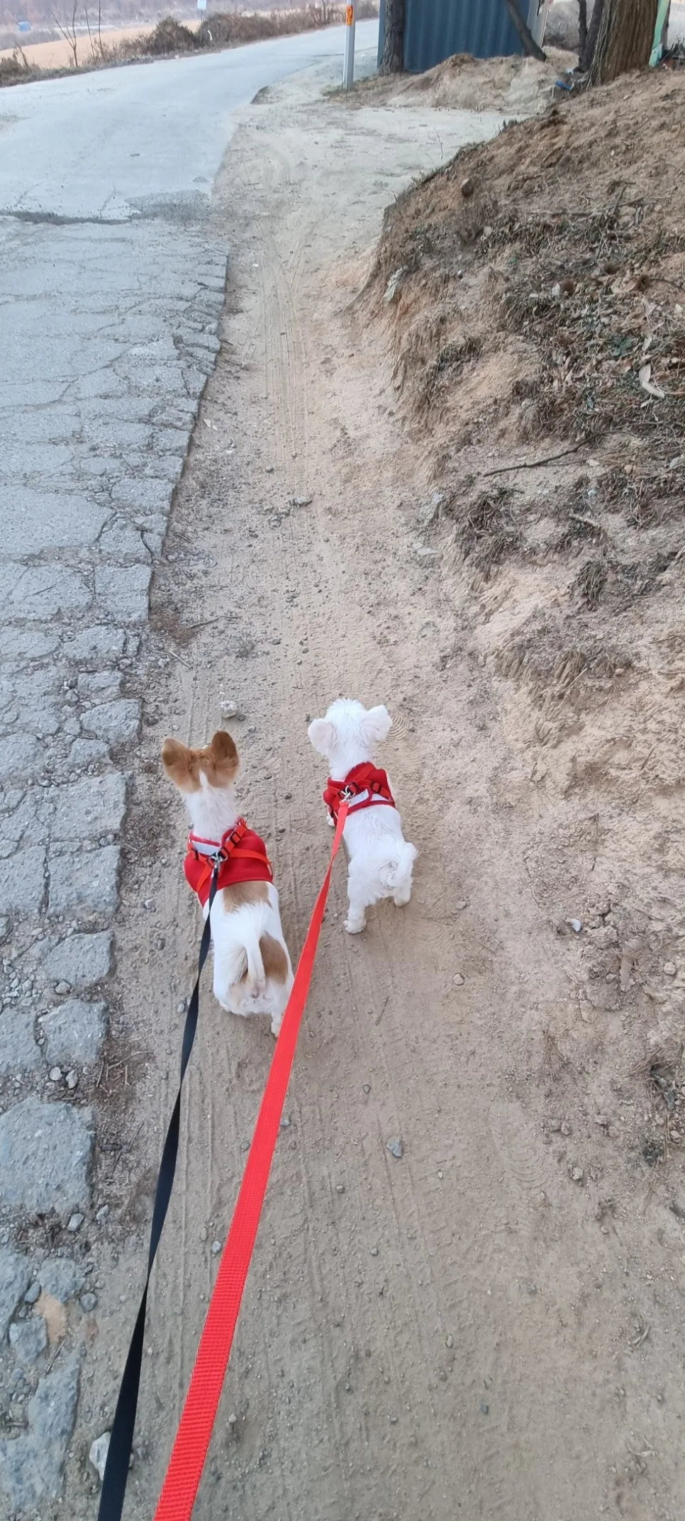 %EC%82%B0%EC%B1%85.jpg?type=w966