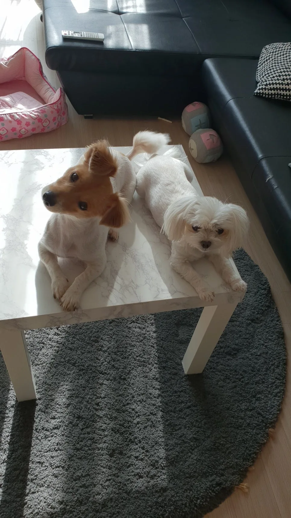 %EC%9A%B0.jpg?type=w966