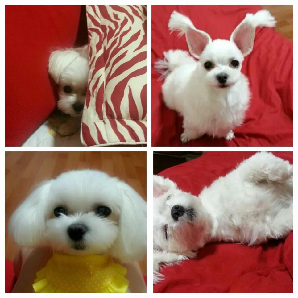 %EB%8B%AC.jpg?type=w966