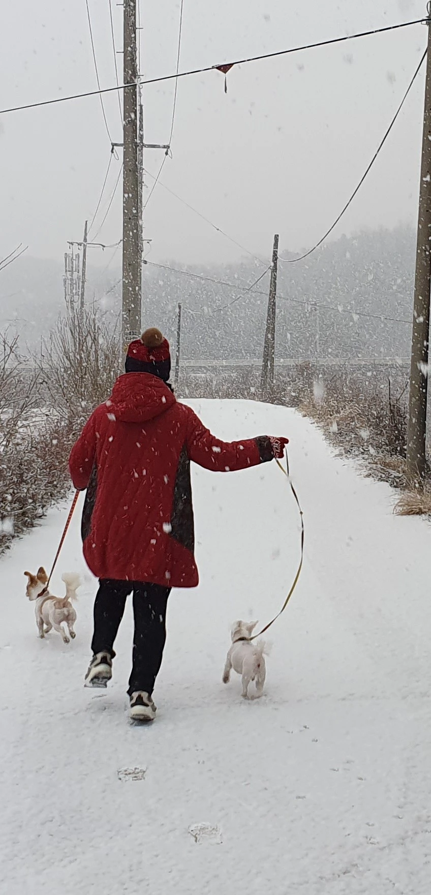 %EB%88%88%EC%82%B0%EC%B1%85.jpg?type=w966