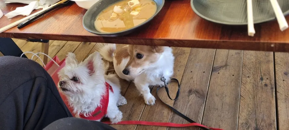 %EC%BA%A0%ED%95%91.jpg?type=w966