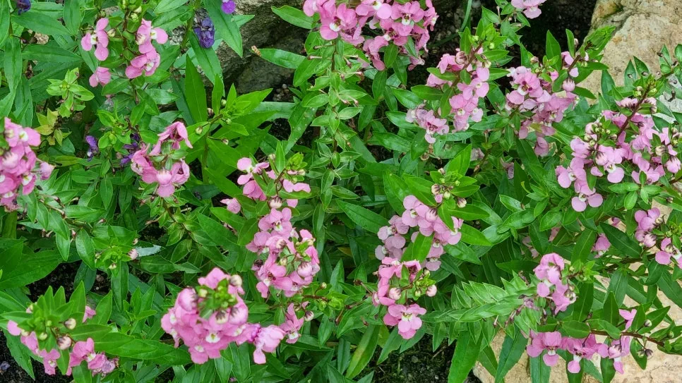 KakaoTalk_20240806_203341934_11.jpg?type=w966