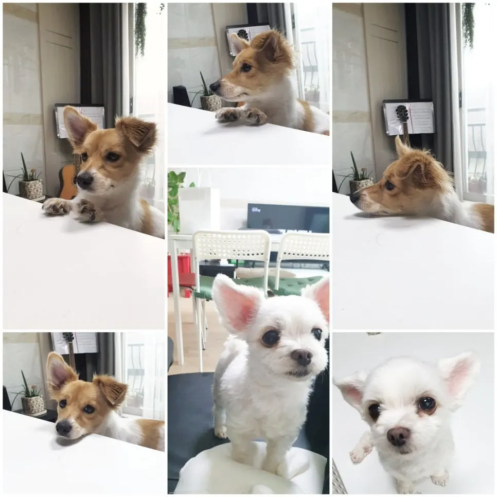 %ED%91%9C%EC%A0%95.jpg?type=w966