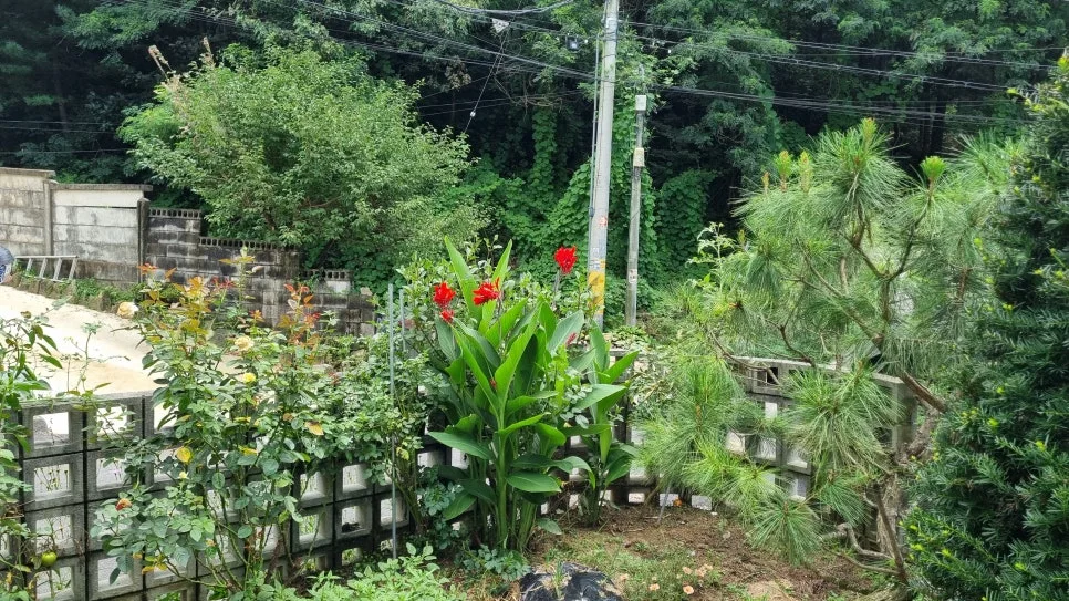 KakaoTalk_20240806_203341934_07.jpg?type=w966