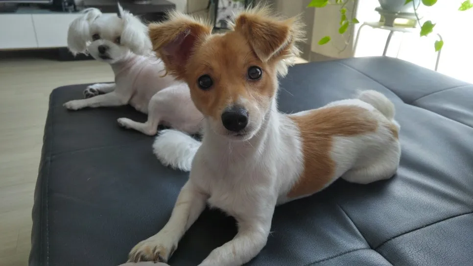 %EC%9A%B0%EC%A3%BC1.jpg?type=w966