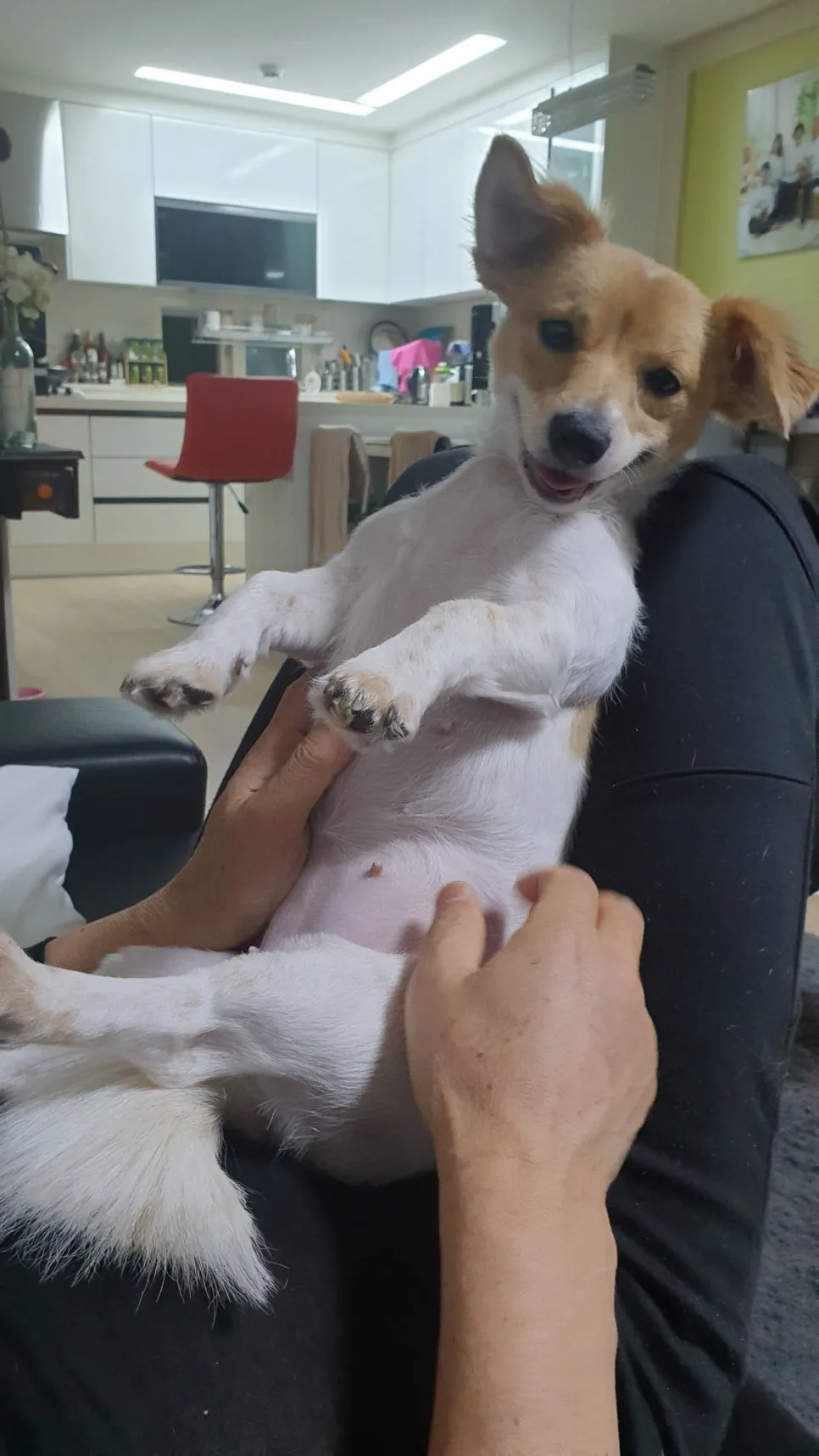 %EC%9B%83.jpg?type=w966