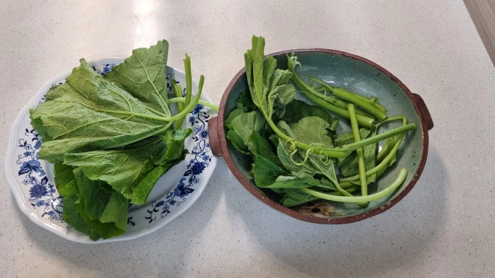 KakaoTalk_20240717_130221260_11.jpg?type=w966