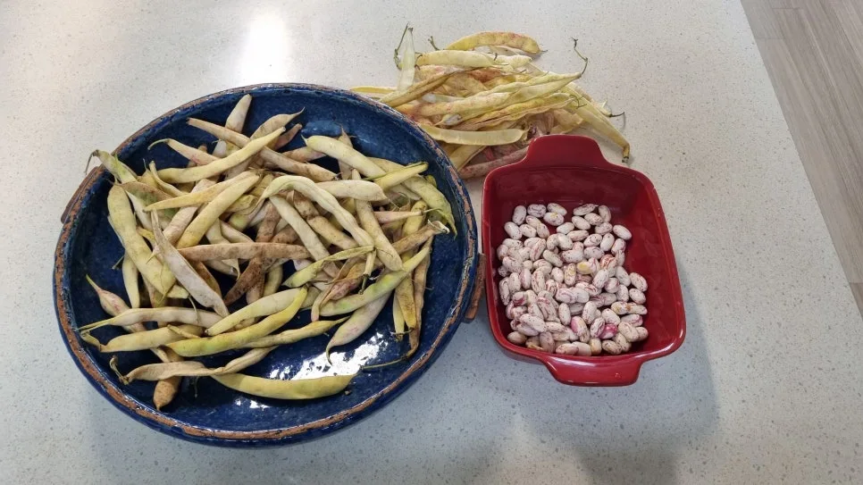 KakaoTalk_20240717_130221260_10.jpg?type=w966