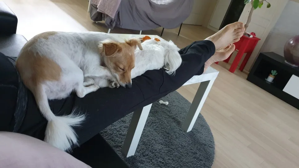 %EB%91%98.jpg?type=w966