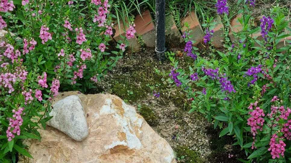 KakaoTalk_20240806_203341934_12.jpg?type=w966