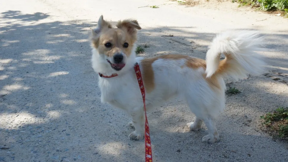 %EB%B9%A8.jpg?type=w966