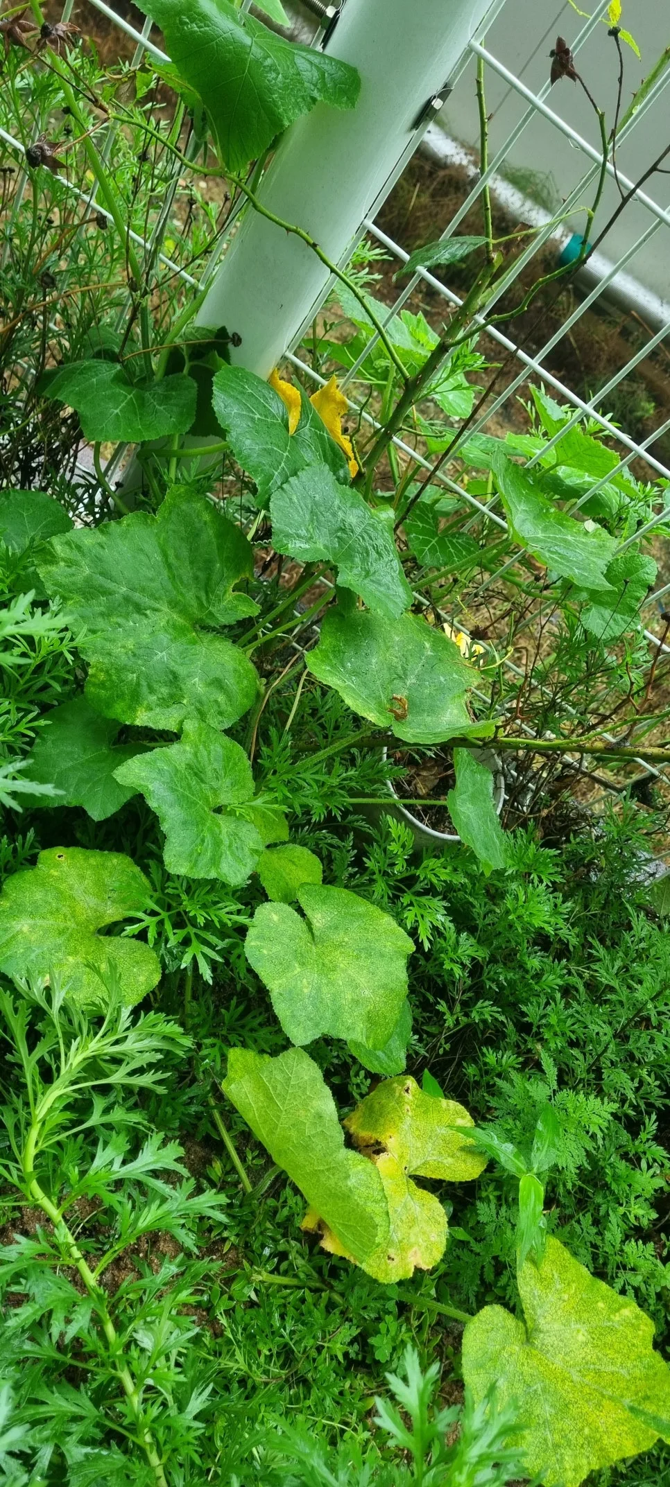 KakaoTalk_20240708_125442606_04.jpg?type=w966