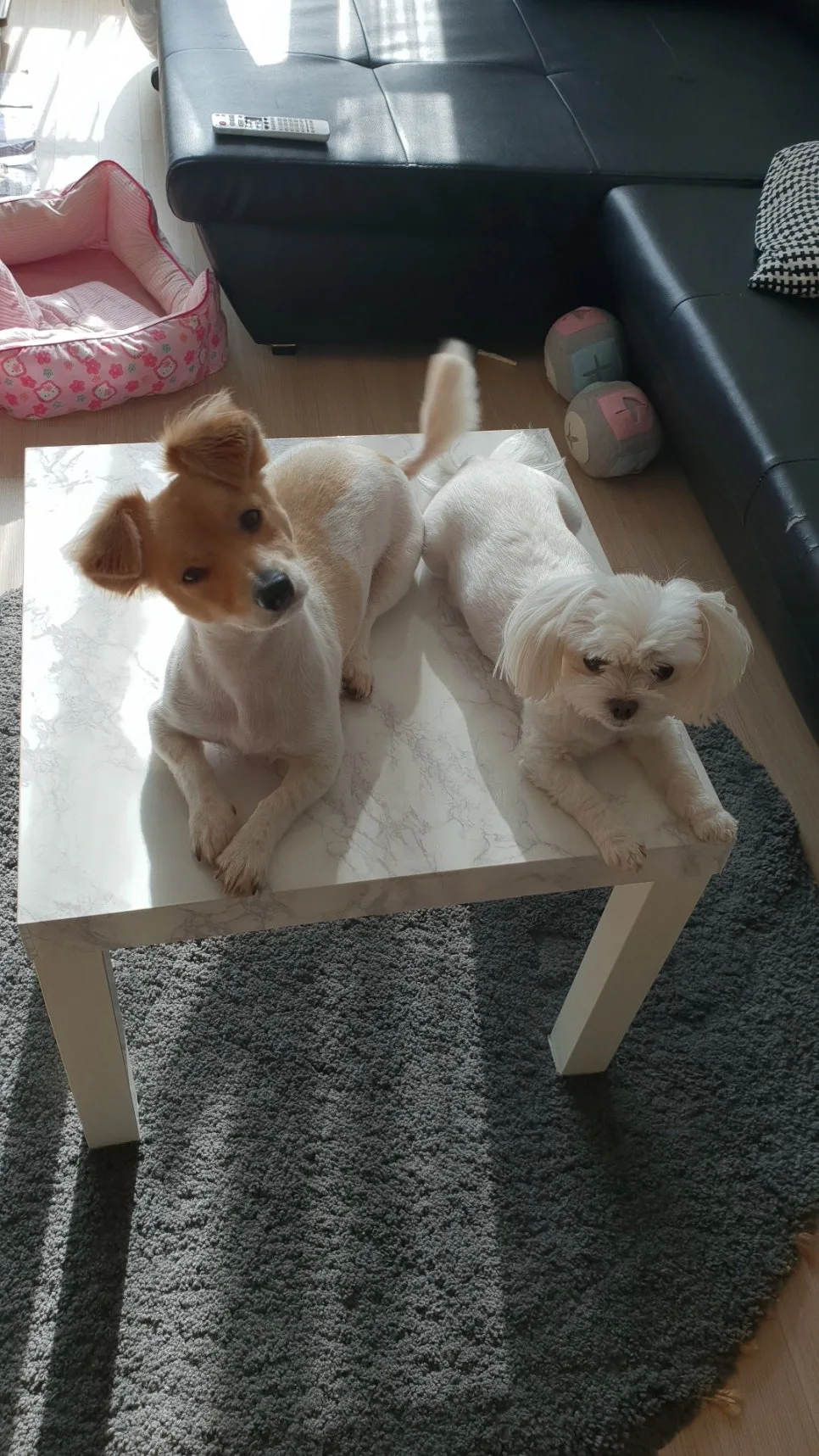 %EC%A2%8C.jpg?type=w966