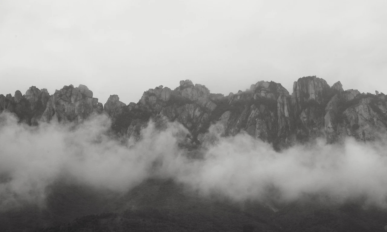 IMG_6480 2014 속초.jpeg