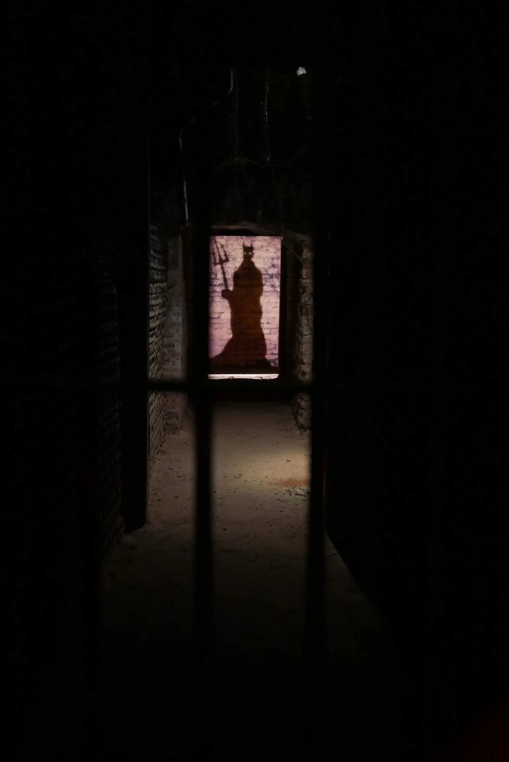 0615_concha y toro diablo.jpeg